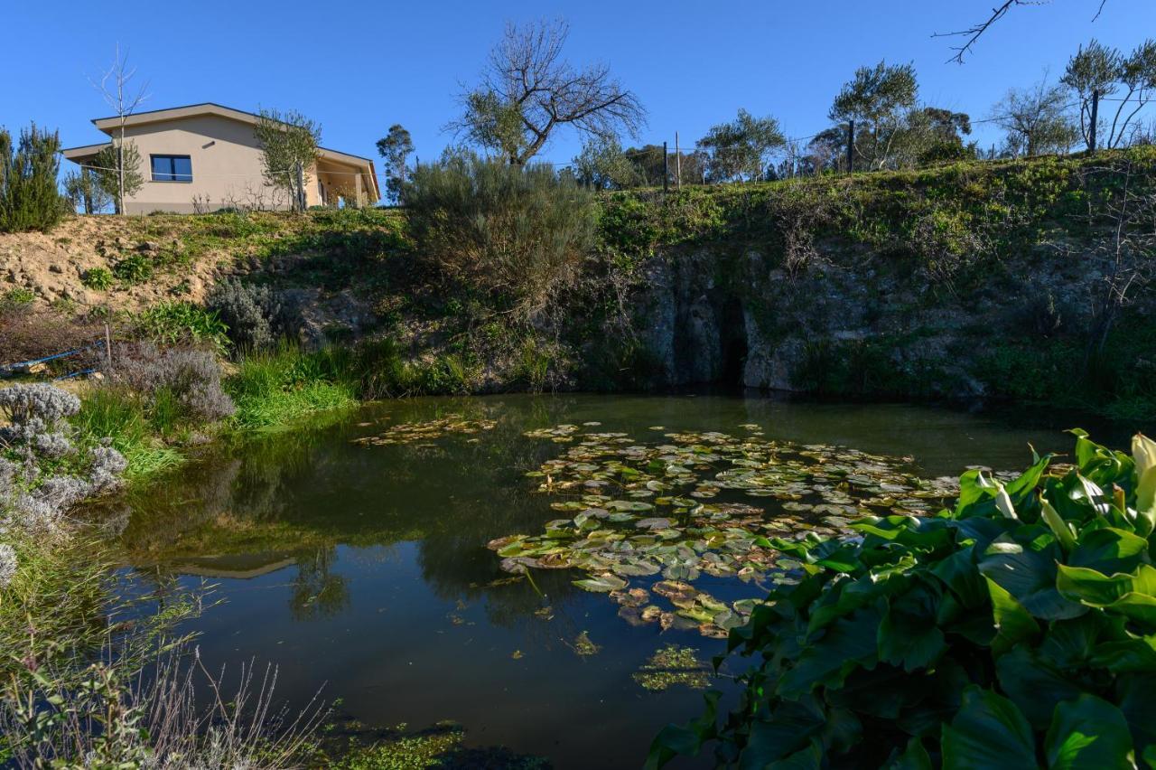 Laje Da Bica Agroturismo Pension Covilhã Buitenkant foto